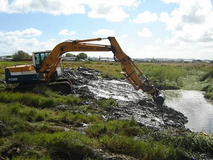 Helensville Estuary Reformation 6
